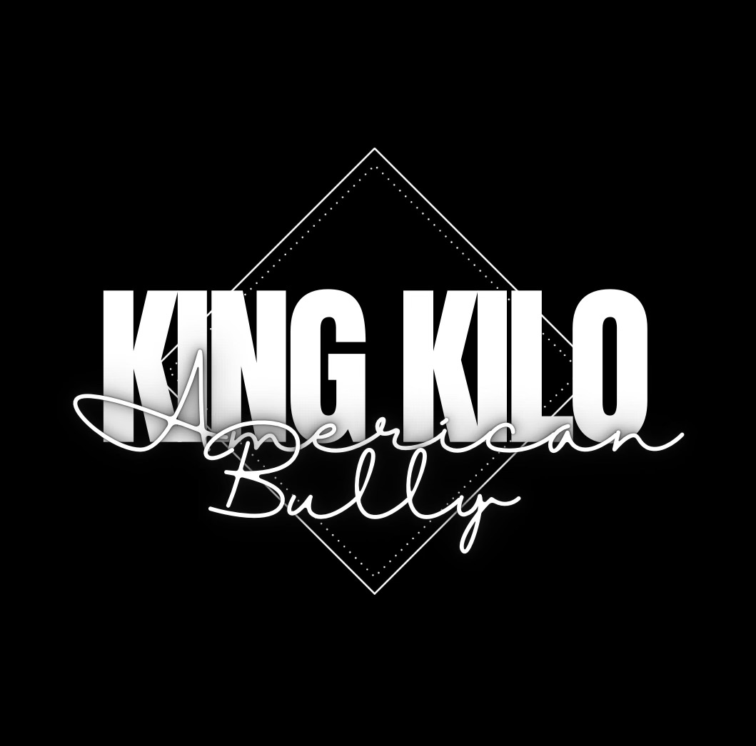 King Kilo Kennels 